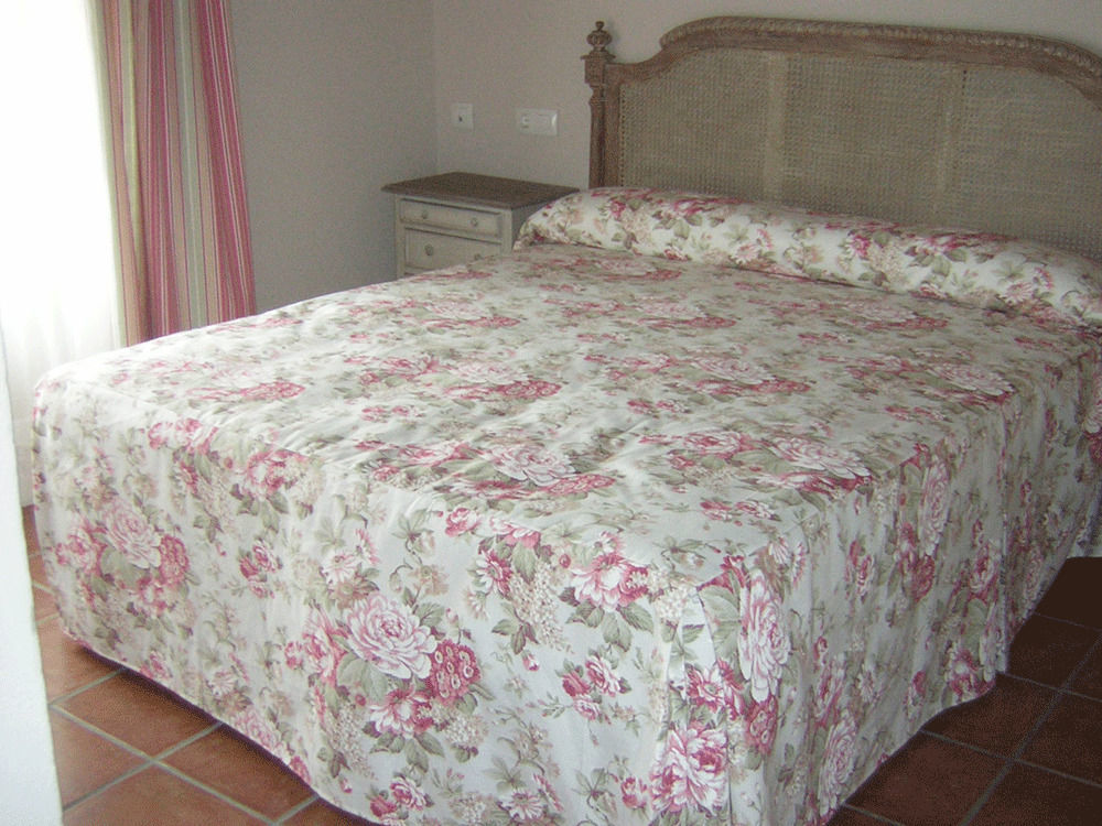 Отель La Casona De Dona Petra Villarmentero de Campos Экстерьер фото